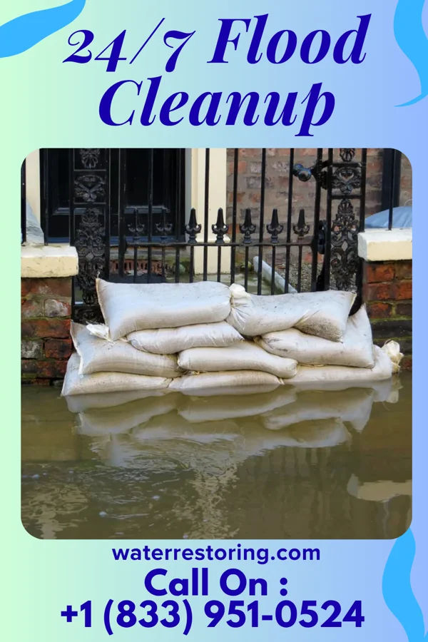 24/7 Flood Cleanup in San Felipe, TX