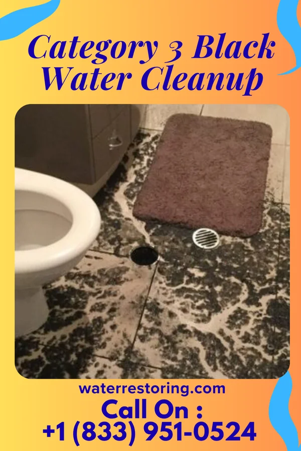 Category 3 Black Water Cleanup in San Felipe, TX