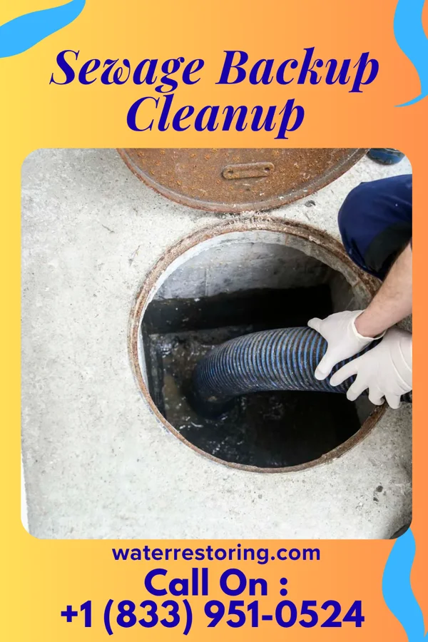 Sewage Backup Cleanup in San Felipe, TX